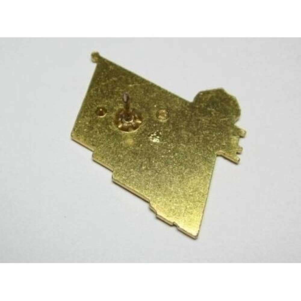 Vintage Lion's Club International enamel Tie Tac Pin - Picture 2 of 3